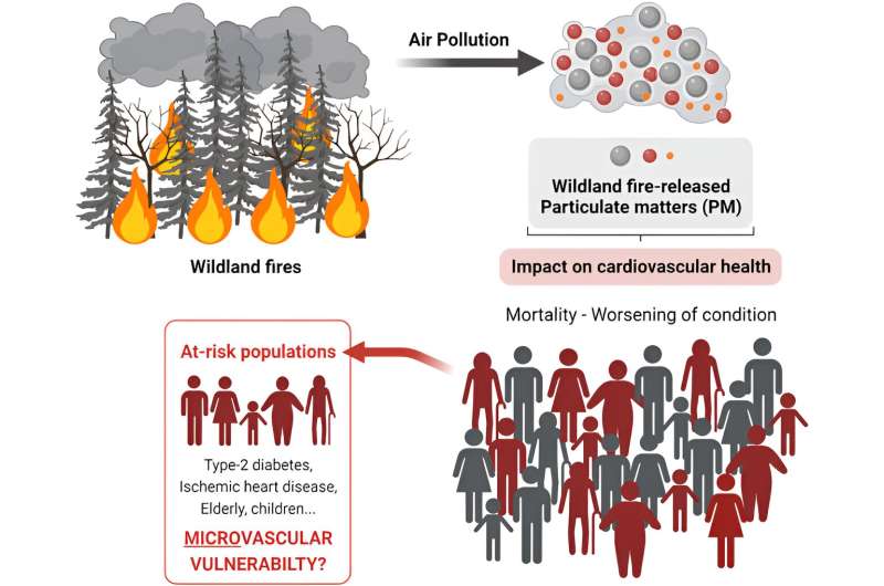 Researchers say understanding of long-term health risks from particulate matter exposure ignores microvasculature