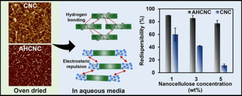 Researchers uncover mechanisms to easily dry, redisperse cellulose nanocrystals