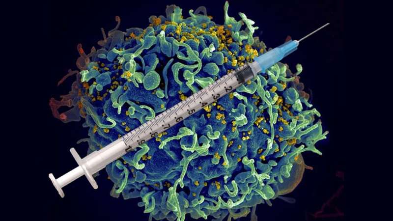 Researchers use 'natural' system to identify proteins most useful for developing an effective HIV vaccine