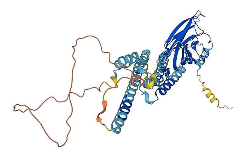 Researchers use powerful AI tool to gain new insights into protein structures