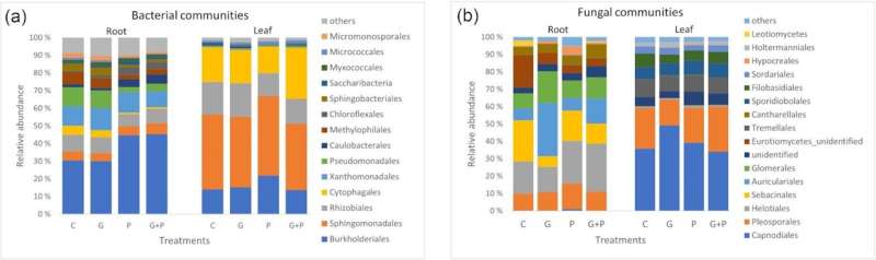 Residues of glyphosate-based herbicides in soil negatively affect plant-beneficial microbes