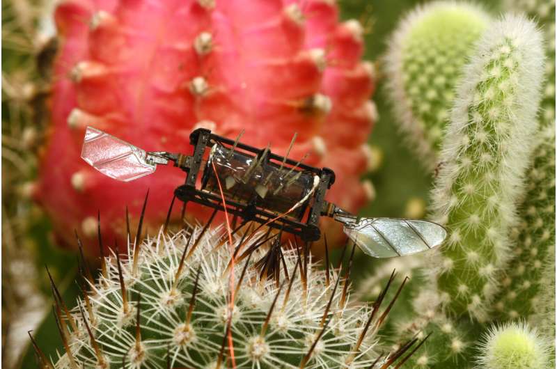 Resilient bug-sized robots keep flying even after wing damage