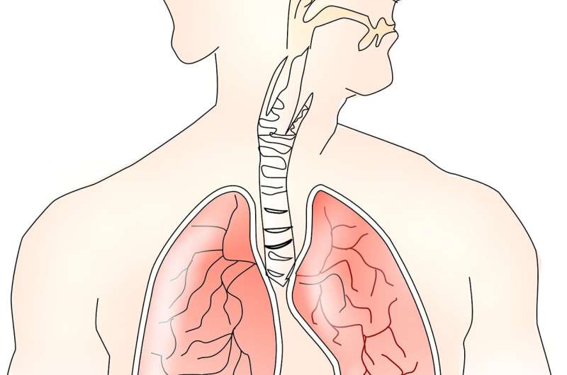 respiratory health