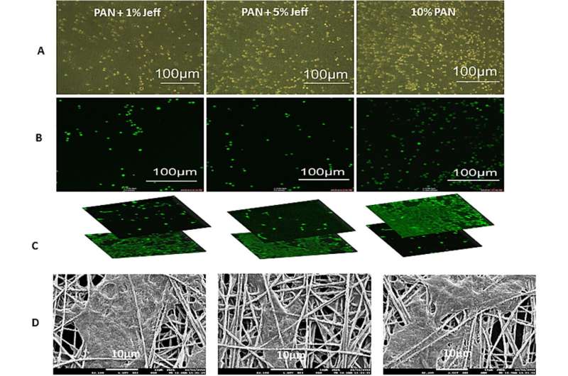 Retina cells cultured on nanofiber scaffolds could help treat blindness