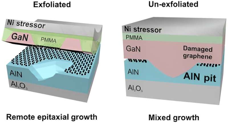 Revealing the effect of AIN surface pits on GaN remote epitaxy