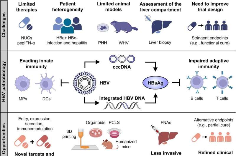 Reviewing new challenges and opportunities for hepatitis B cures