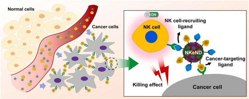 Revolutionary nanodrones enable targeted cancer treatment