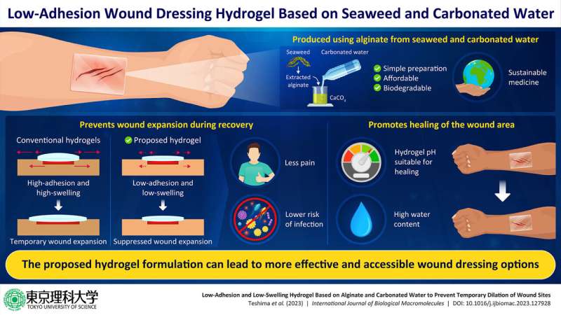 Revolutionary seaweed and carbonated water based hydrogel for treating skin wounds