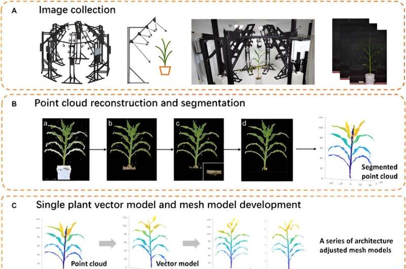 Revolutionizing crop yield: Novel 3D canopy modeling pipeline unravels key factors in maize photosynthesis