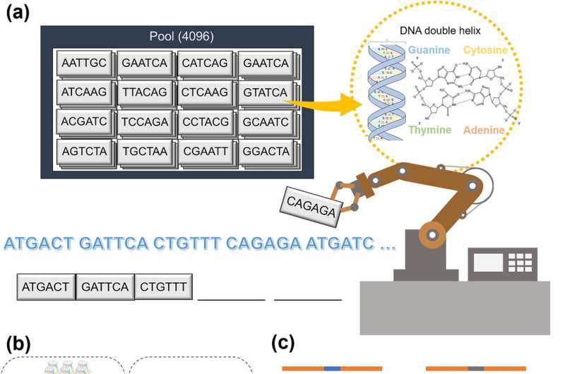 Revolutionizing data storage: DNA movable-type system paves the way for sustainable data storage technology