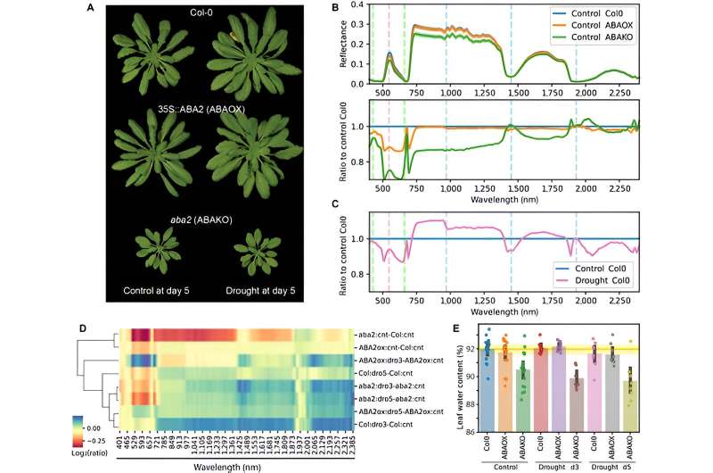Revolutionizing plant health diagnosis: machine learning unveils new insights into stress responses