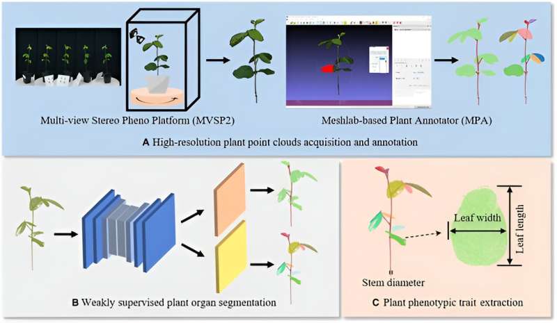 Revolutionizing plant phenotyping: Eff-3DPSeg unveils a new era in 3D plant shoot segmentation with deep learning