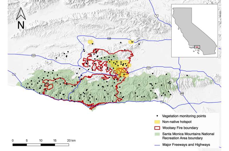Rising non-native cover in the Santa Monica Mountains threatens native biodiversity and increases fire risk