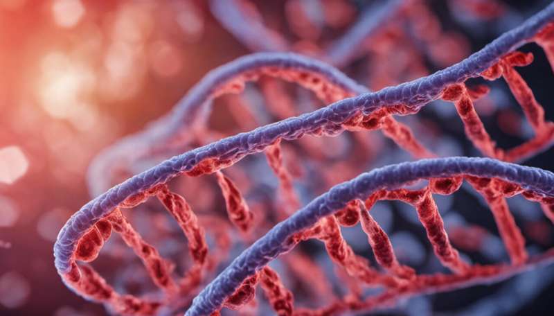 RNA's 'joints' play key role in our gene expression, scientists find