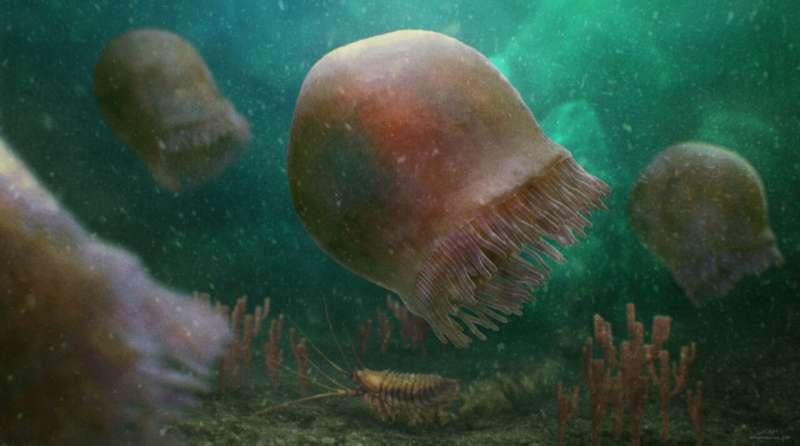 Royal Ontario Museum researchers identify oldest known species of swimming jellyfish