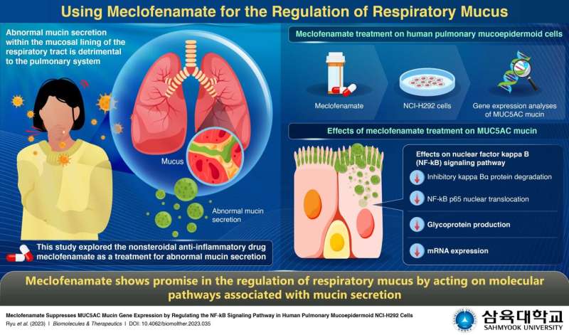 Sahmyook University study repurposes meclofenamate to treat abnormal respiratory mucus