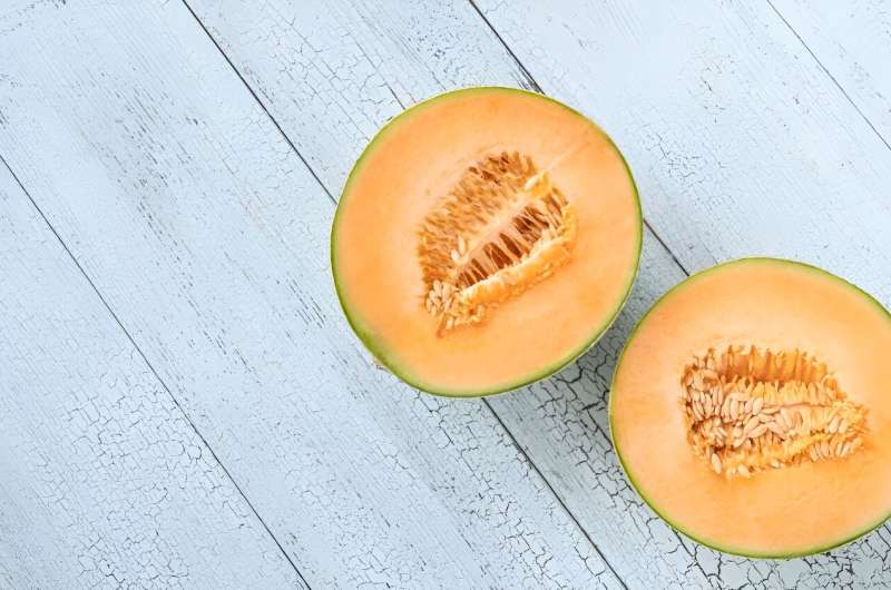 Salmonella illnesses tied to cantaloupes have doubled: CDC