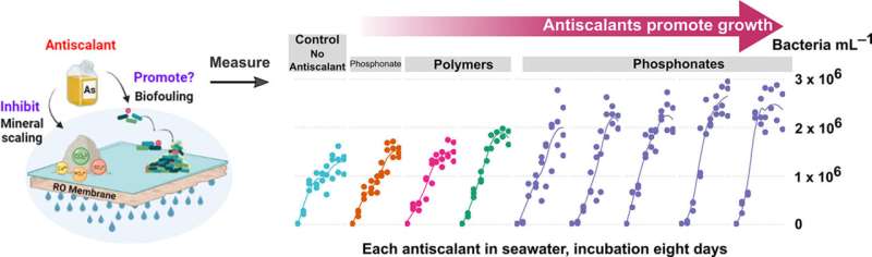 Saving desalination membranes from minerals and microbes