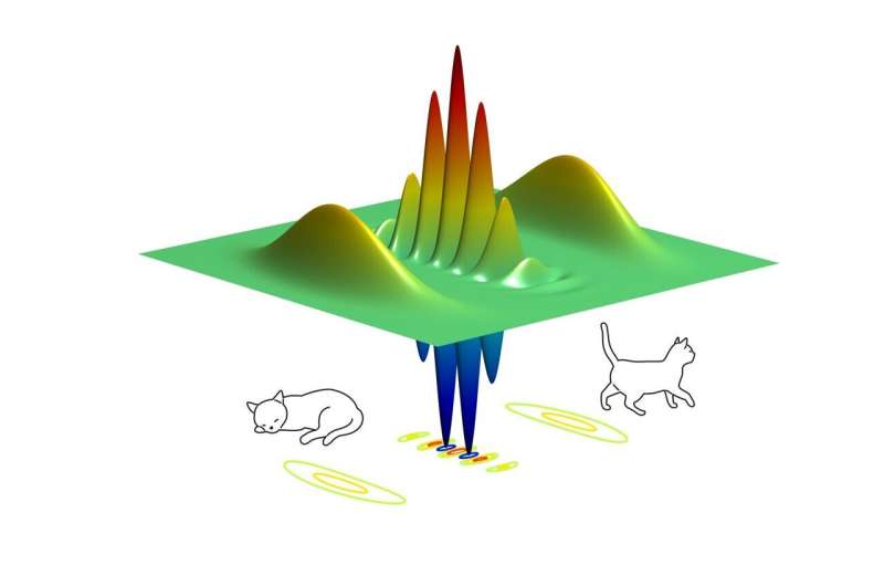 Schrödinger's cat makes better qubits