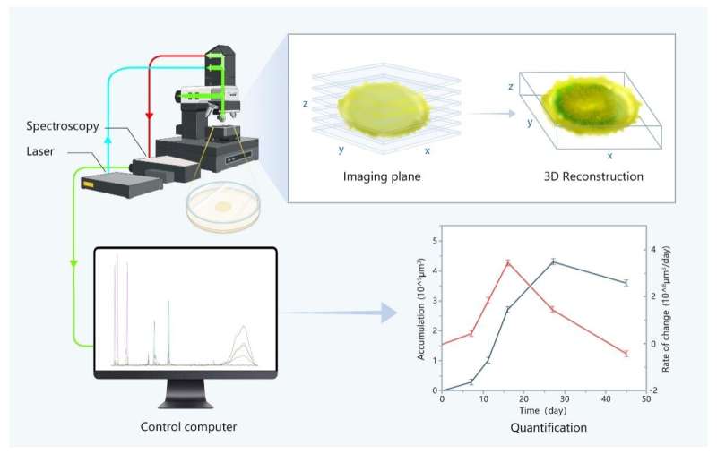 Scientists apply Raman quantitative 3D imaging to microbial monitoring