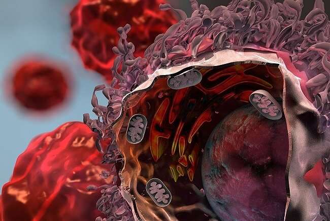 Scientists detail the main mechanism lung cancer uses to evade the immune system's attack