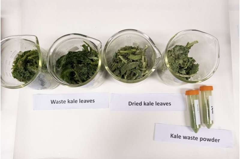Scientists develop a sustainable way to convert kale waste into products for health and personal care