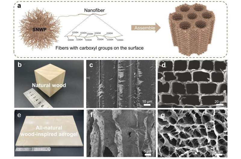 Scientists develop all-natural, wood-inspired aerogel