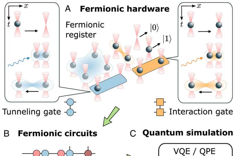 Scientists develop fermionic quantum processor