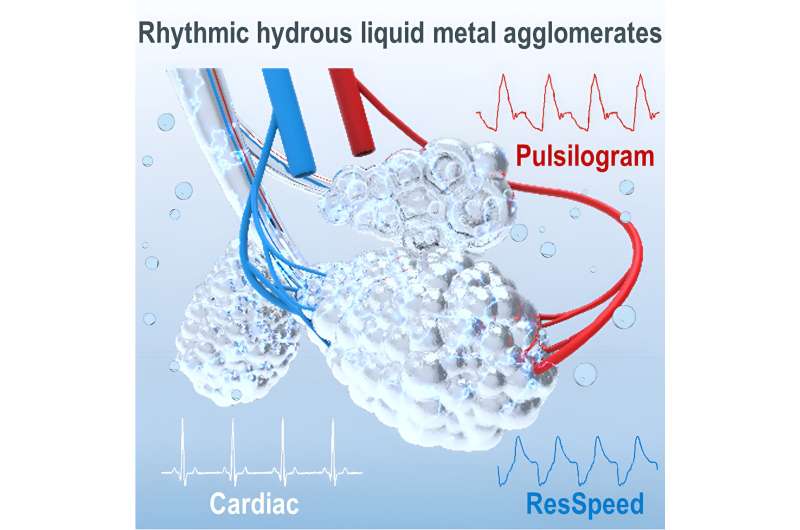 Scientists develop hydrous liquid metals for use in rhythmic bionic tissues