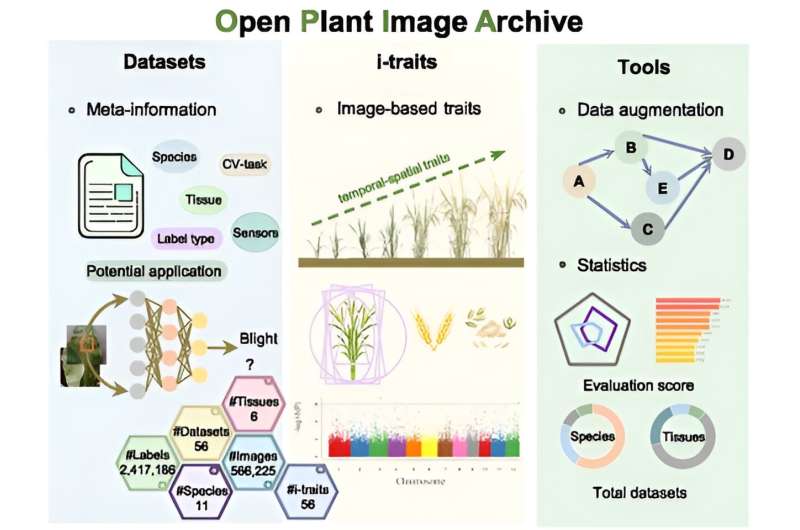 Scientists develop open archive of plant images and related phenotypic traits