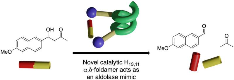 Scientists develop revolutionary new approach to designing catalysts for chemical reactions