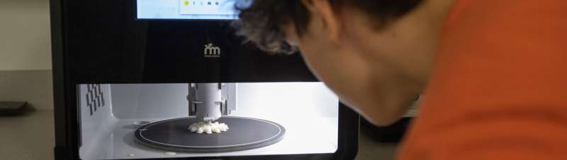 Scientists explore 3D food printing possibilities