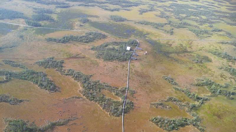 Scientists explore hidden dynamics in peat under mosses and shrubs