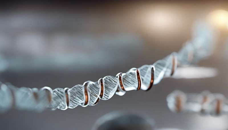 Cientistas encontram os últimos resquícios do genoma humano que faltavam no cromossomo Y