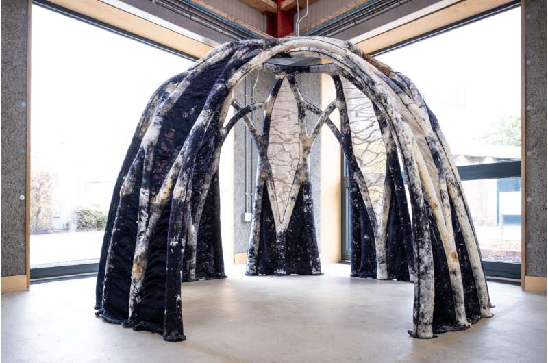 Scientists knit futuristic eco-building designs using fungal networks