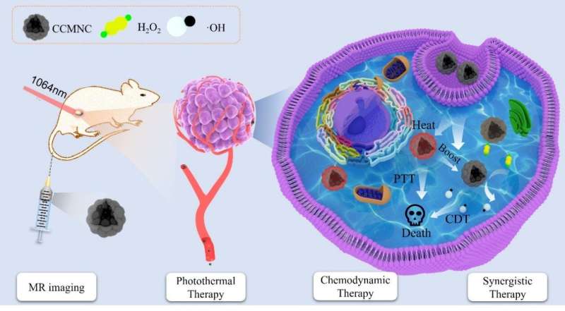 Scientists propose using carbon-coated magnetite nanoclusters for synergistic cancer therapy