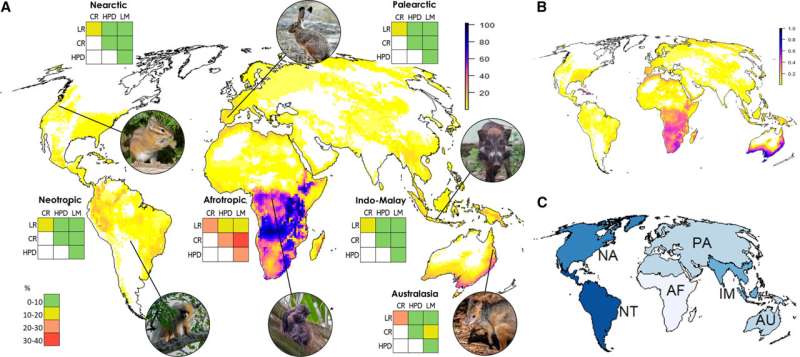 Scientists show how we can anticipate rather than react to extinction in mammals