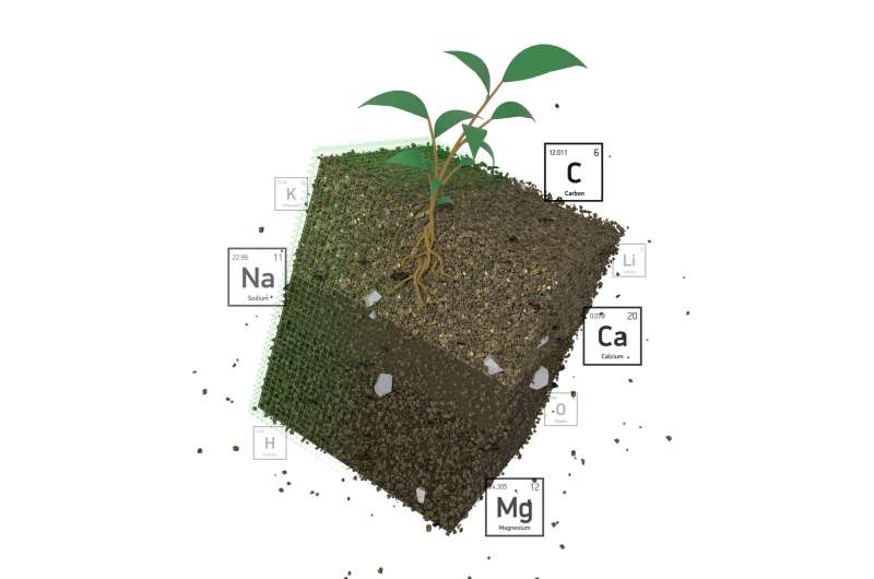 Scientists speed elemental investigations of plant growth, soil carbon storage