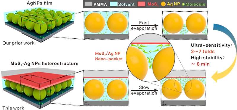 Scientists suggest AgNP/MoS2 nano-pocket for surface-enhanced raman spectroscopy scattering detection