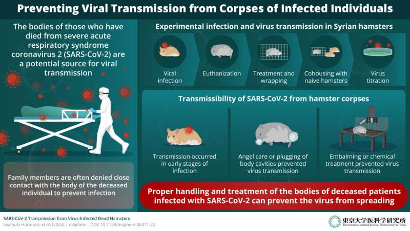 科学家提出了防止SARS-CoV-2从死者身上传播的指导方针