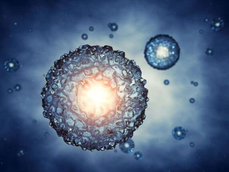 Scientists use stem cells to replicate early human embryo
