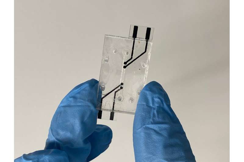 Screen printed electrodes for measuring endothelial barrier integrity