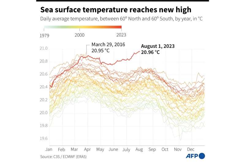 Sea surface temperature reaches new high