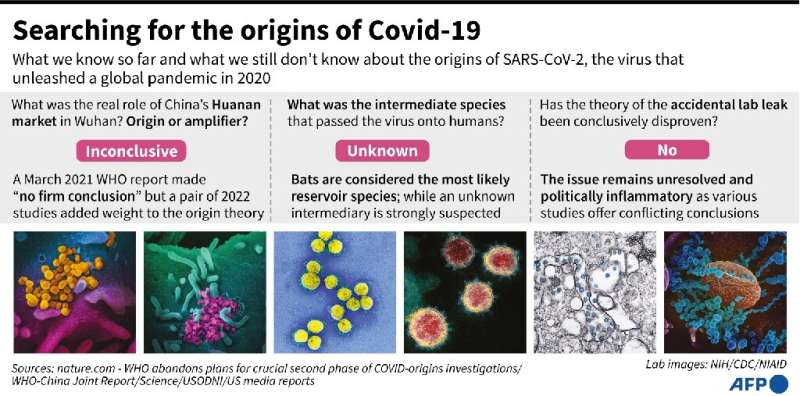 Searching for the origins of Covid-19