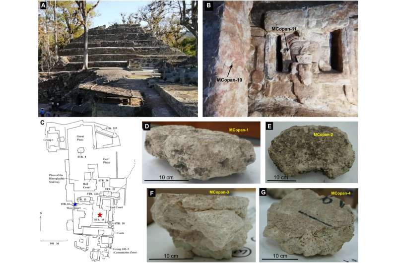 Secret ingredient in durable Mayan plaster discovered