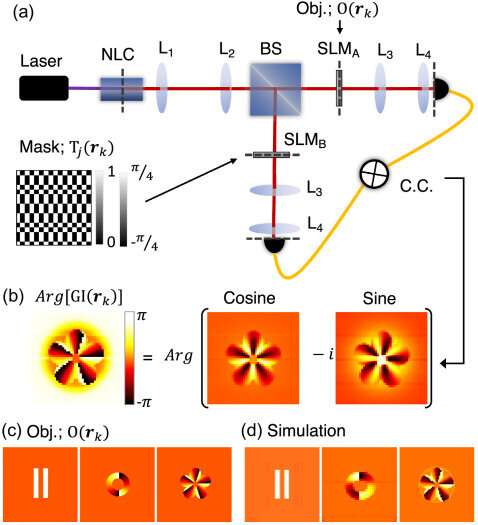 Sensing phase with quantum light and a single pixel detector