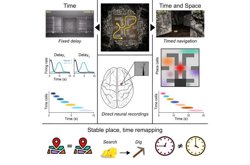 Sets of neurons work in sync to track ‘time’ and ‘place,’ giving humans context for past, present and future