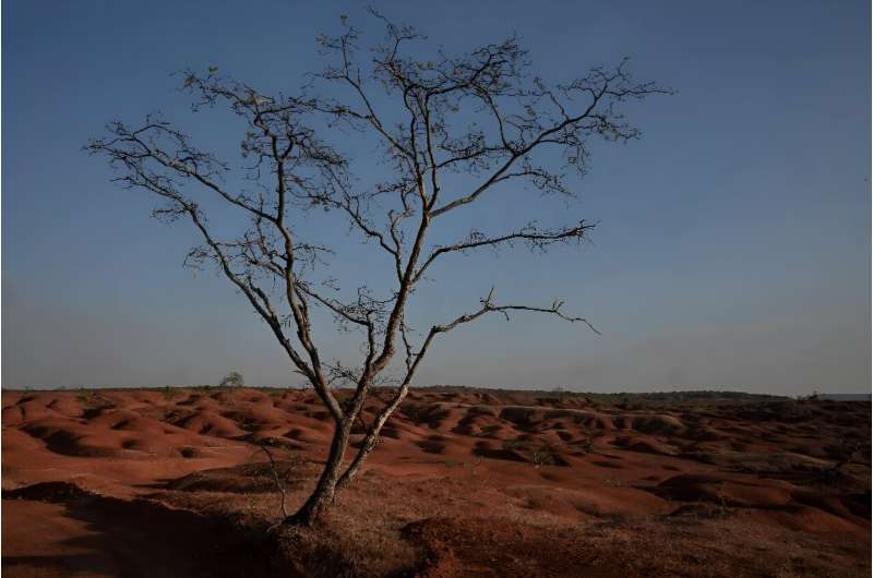 Several hundred determined farming families are hanging on in this desolate land of Gilbues, Brazil, scraping by with hardscrabble ingenuity and sounding the alarm over the spreading problem