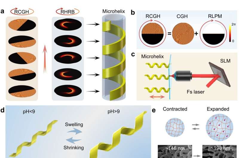 Shape-changing helical microswimmers could revolutionize biomedical applications