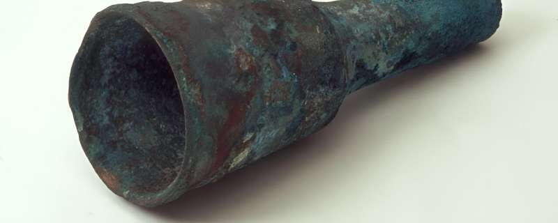 Shipboard cannon found off the Swedish coast may be the oldest in Europe